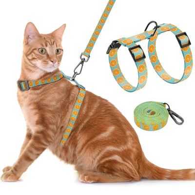 Cat Harness My Store
