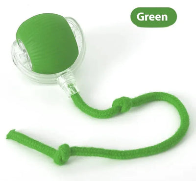 Interactive Cat Toy My Store