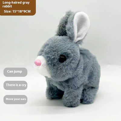 Electric Pet Toy My Store